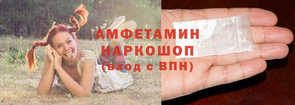 дмт Гусев