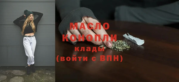 дмт Гусев
