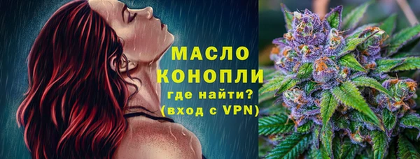 дмт Гусев