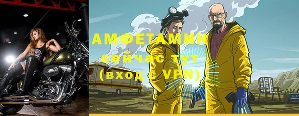 дмт Гусев