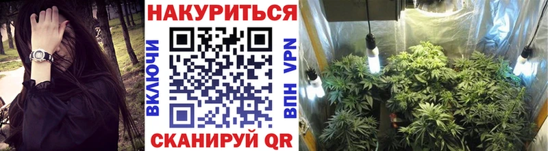 Купить закладки  Чегем  Канабис план 